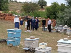 Hocalar’da kadınlara yönelik aracılık kursu